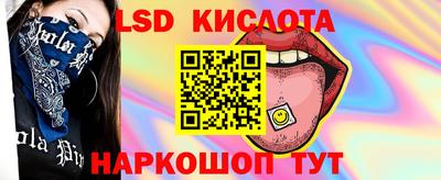 spice Владимир