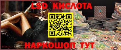 spice Владимир