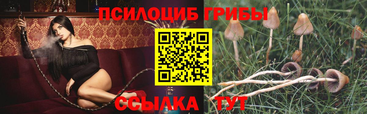 Галлюциногенные грибы MAGIC MUSHROOMS Ачхой-Мартан