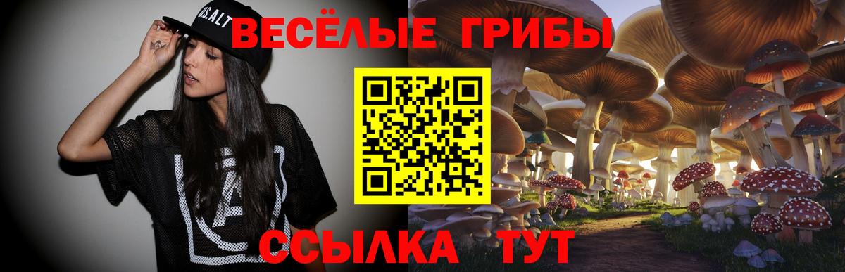 Ачхой-Мартан  Галлюциногенные грибы ЛСД  Вход с VPN 